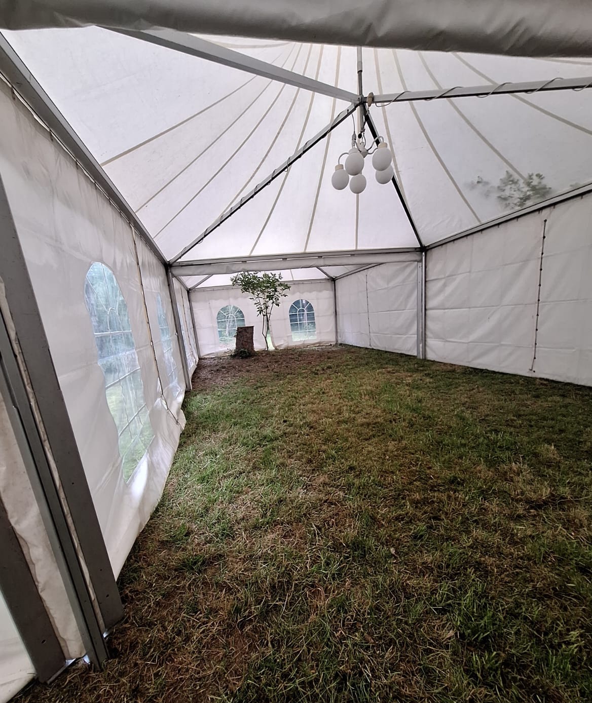 Innenansicht Pagodenzelt Innenansicht eines Pagoden Zeltes mit Grasboden und einem Baum in der Ecke.