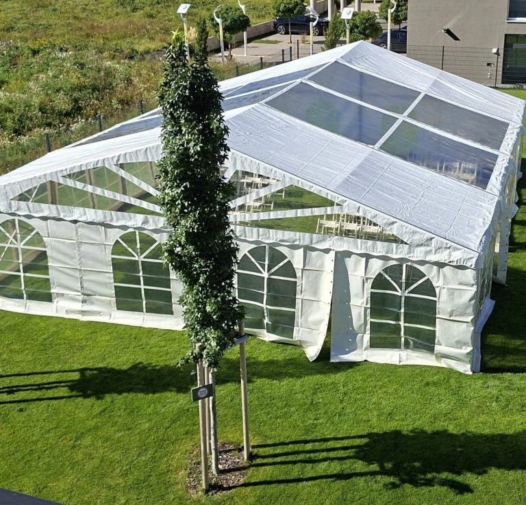 Hochzeitszelt 10 m breit auf Wiese mit Bäumen 10 m breites Hochzeitszelt mit transparentem und weißem Dach auf grüner Wiese, umgeben von Bäumen und einem angrenzenden Gebäude.